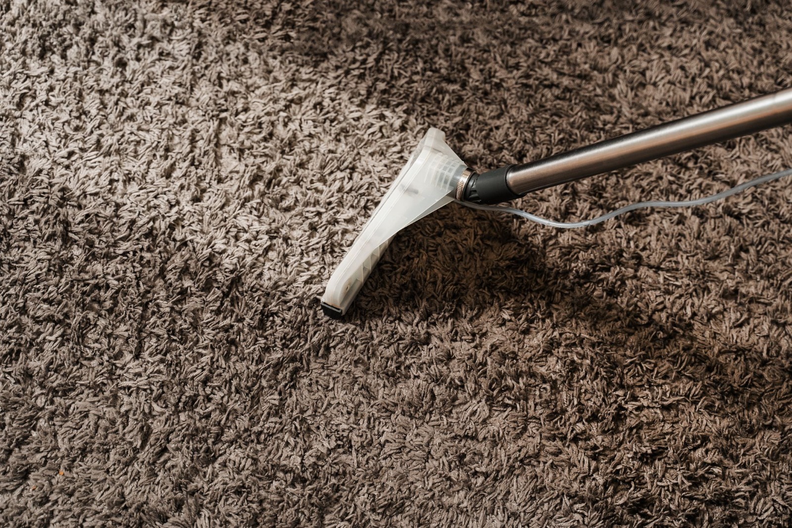 Affordable Eco Friendly Carpet Cleaning Placer County Services